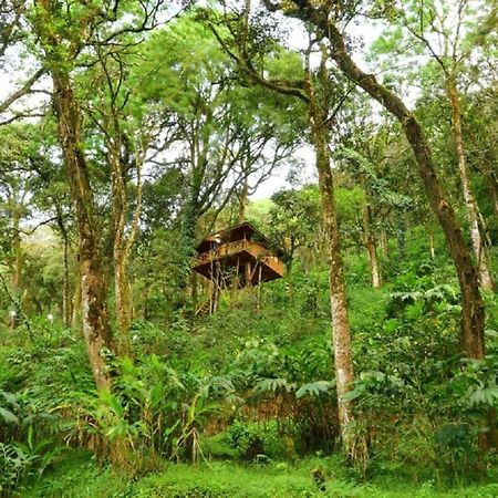Seven Springs Resort Munnar Bagian luar foto