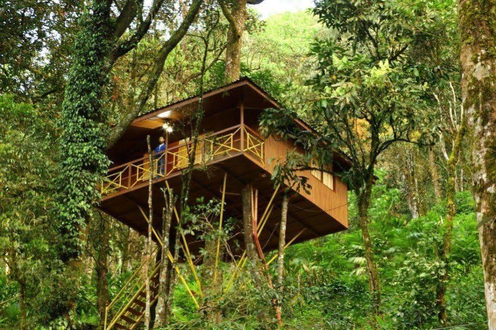 Seven Springs Resort Munnar Bagian luar foto