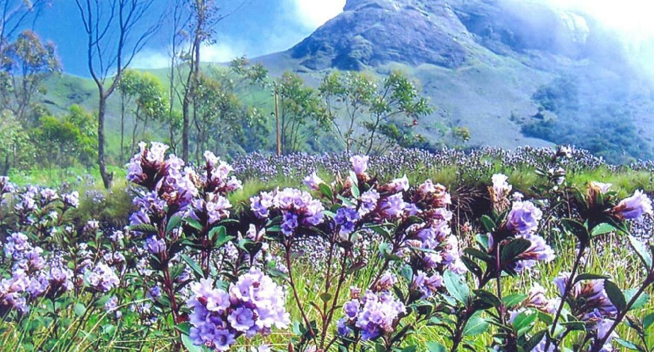 Seven Springs Resort Munnar Bagian luar foto