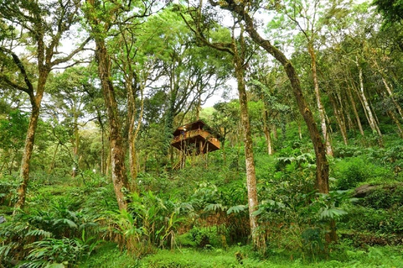 Seven Springs Resort Munnar Bagian luar foto